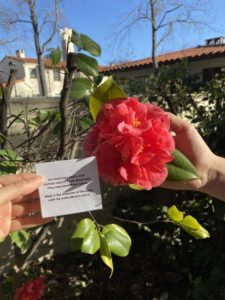 Picture of a flower and a notecard.
